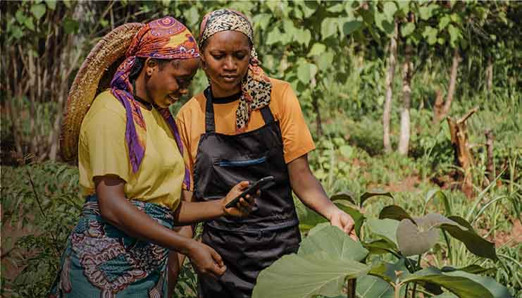 the Best of Africa from Home