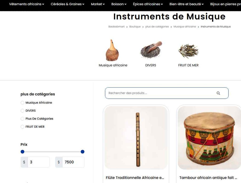 Les Instruments de Musique Africains 