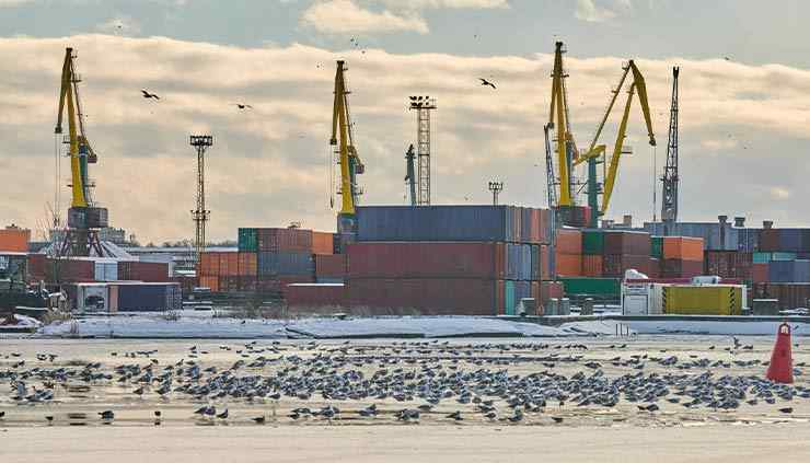 The Global Disruptions Affecting Import and Export Activities: BaoababMart